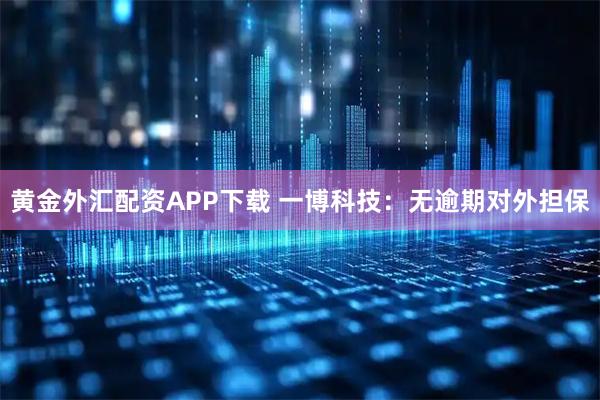 黄金外汇配资APP下载 一博科技：无逾期对外担保