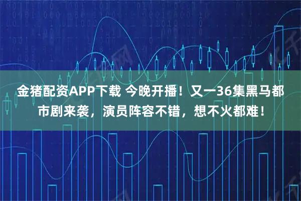 金猪配资APP下载 今晚开播！又一36集黑马都市剧来袭，演员阵容不错，想不火都难！