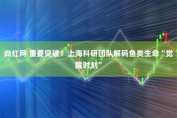 尚红网 重要突破！上海科研团队解码鱼类生命“觉醒时刻”